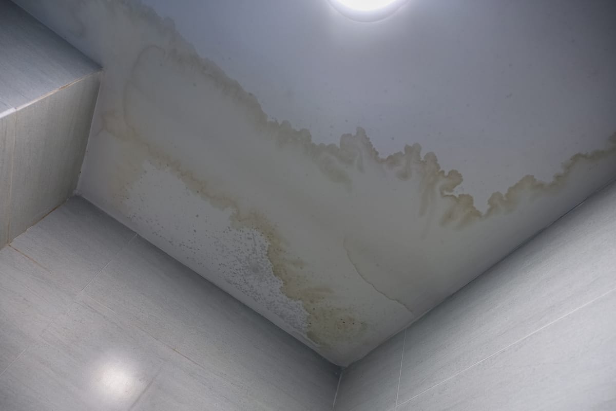 Roofing Solutions of Texas Roof Leak Repair